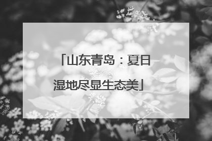 山东青岛：夏日湿地尽显生态美